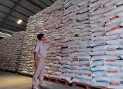 SKB Lintas Kementerian Percepat Pembangunan 100 Gudang Bulog Serap Gabah Petani.