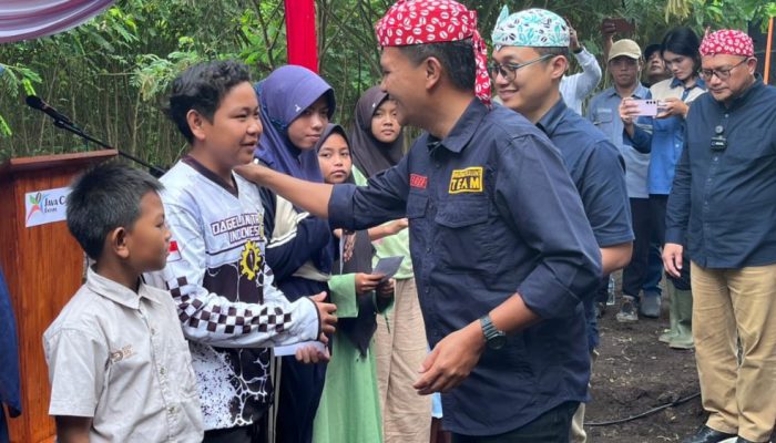 PTPN I Regional 5 Tanam Perdana 293,57 Hektare Kopi Arabika di Java Coffee Estate Bondowoso