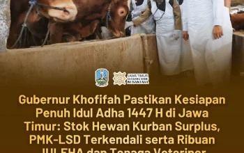 Gubernur Khofifah Pastikan Distribusi Hewan Kurban Aman dan Terkendali di Idul Adha 1447 H