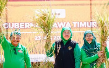 Antisipasi Kemarau 2026, Khofifah Instruksikan Kepala Daerah Jaga Produksi Pertanian Jatim