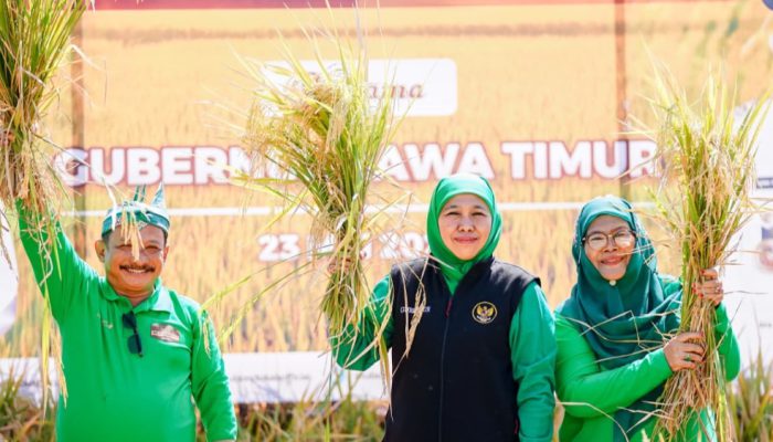 Antisipasi Kemarau 2026, Khofifah Instruksikan Kepala Daerah Jaga Produksi Pertanian Jatim