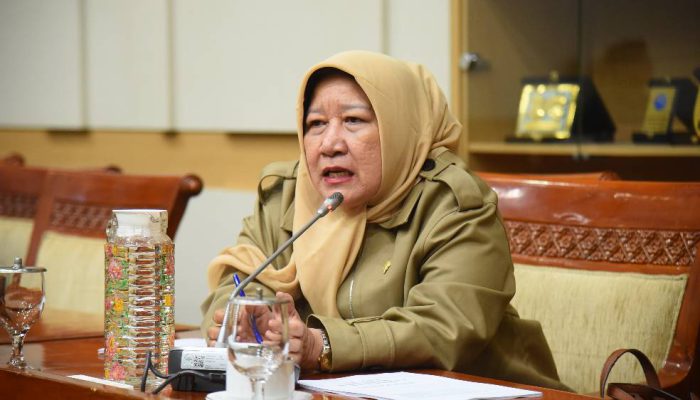 DPR Dorong Pembentukan Dewan Advokat Nasional, Pengawasan Profesi Diperkuat