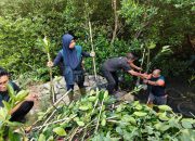 Ribuan Mangrove Ditaman di Sontoh Laut, TPS Dorong Kelestarian Lingkungan Pesisir