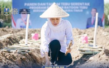 Gubernur Jatim Salurkan Bantuan untuk Petani saat Panen dan Tanam Tebu Serentak di Kabupaten Malang