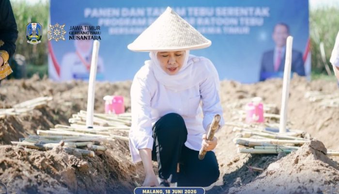 Gubernur Jatim Salurkan Bantuan untuk Petani saat Panen dan Tanam Tebu Serentak di Kabupaten Malang