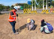 Dari Vegetasi hingga Mangrove, TTL dan BRIN Perkuat Perlindungan Biodiversitas