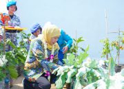 Kreatif! Taruna Nala Tanam Padi di Bekas Galon, Gubernur Khofifah Sebut Bukti Inovasi Ketahanan Pangan