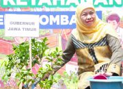 Panen Nila hingga Sawi Samhong, Gubernur Khofifah Apresiasi Inovasi Ketahanan Pangan Siswa Jombang