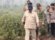 Ring of Fire Bukan Penyebab Langsung Karhutla, Begini Penjelasan Ilmiahnya